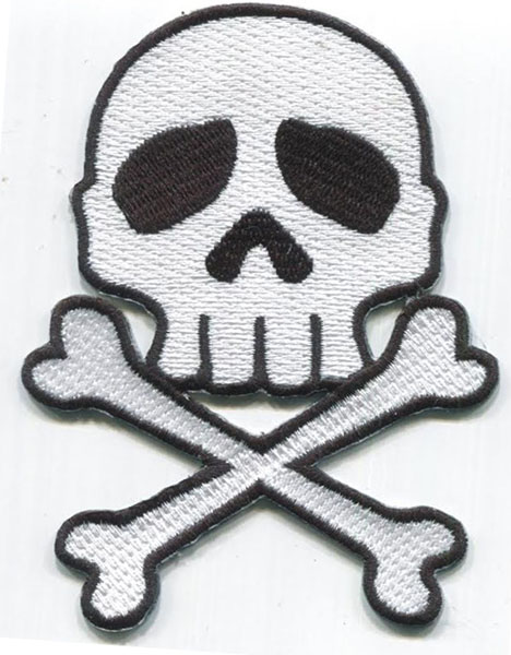 Skull 'Rammstein x Crossbones' Embroidered Patch — Little Patch Co