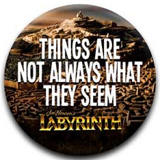 Labyrinth- Things Are Not Always What They Seem pin (pinX538)
