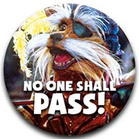 Labyrinth- No One Shall Pass pin (pinX543)