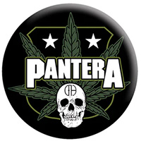 Pantera- Cannabis Skull pin (pinX387)