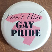 Don't Hide Gay Pride pin (pin-C218)