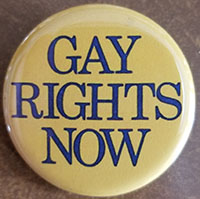 Gay Rights Now pin (pin-C219)