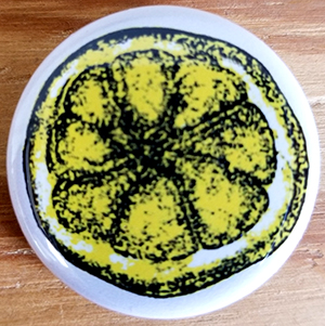 Lemon pin (pin-C88)