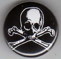 Skull And Crossbones pin (pinZ166)