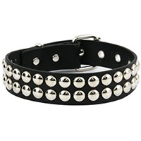 2 Row Spot Stud Choker by Funk Plus