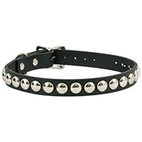 1 Row Spot Stud Choker by Funk Plus