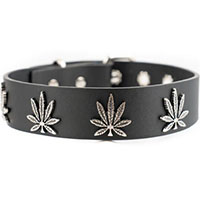 Ganja Leaves On A Black Leather Choker by Funk Plus