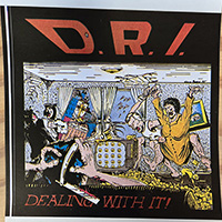 DRI- Dealing With It sticker (st607)
