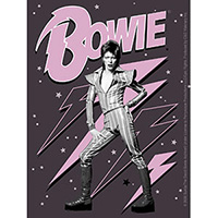 David Bowie- Pink Bolts sticker (st50)