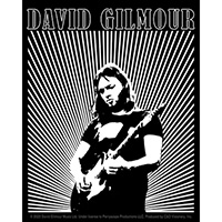 David Gilmour- Playing Guitar sticker (st229)