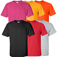 *Blank T-Shirt (Various Colors)