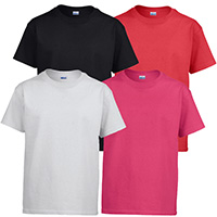 *Blank Youth Sized T-Shirt (Various Colors)