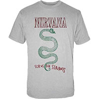Nirvana- Serve The Servants on an ice grey shirt