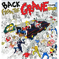 V/A- Back From The Grave Vol. 4 LP