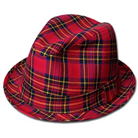 Tartan Plaid Rexy Hat (Sale price!)